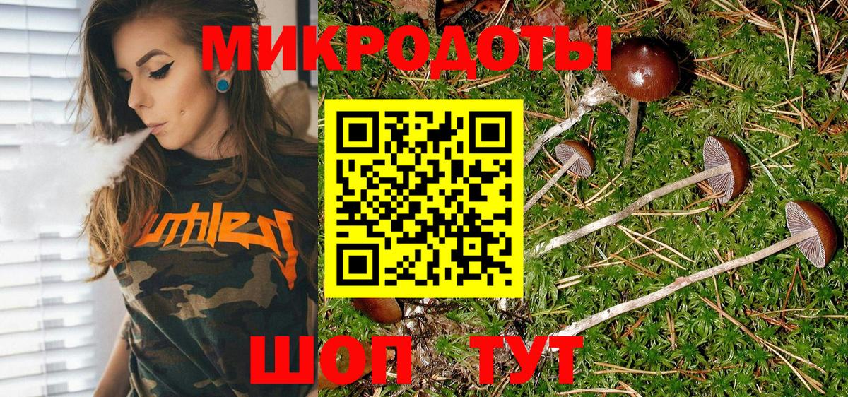 Псилоцибиновые грибы MAGIC MUSHROOMS Моздок