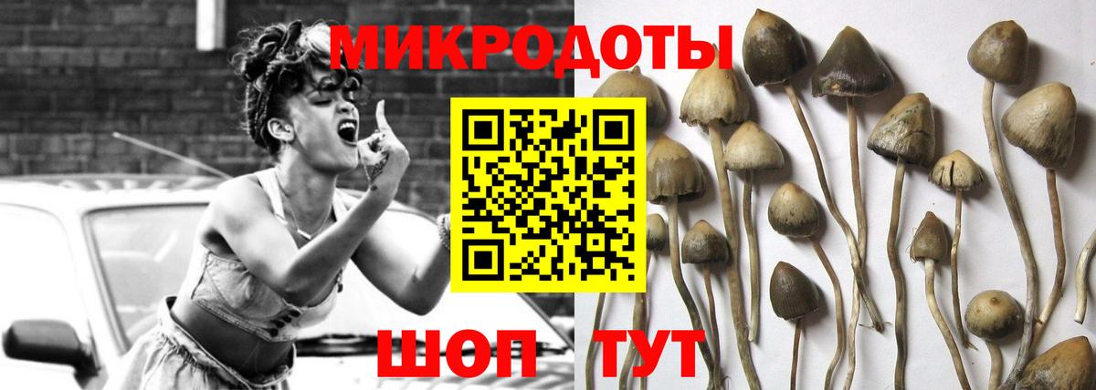 сколько стоит  Вход с VPN  Моздок  Галлюциногенные грибы ЛСД 